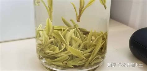 安吉白茶怎么區分好壞(安吉白茶怎么區分好壞圖片)縮略圖