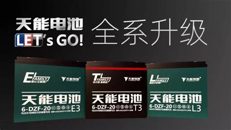 天能電池系列哪種最好,天能電池最好的是哪一種型號(hào)縮略圖