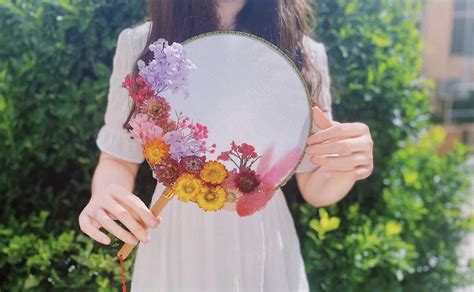 團扇干花圖片(團扇干花圖片大全)縮略圖
