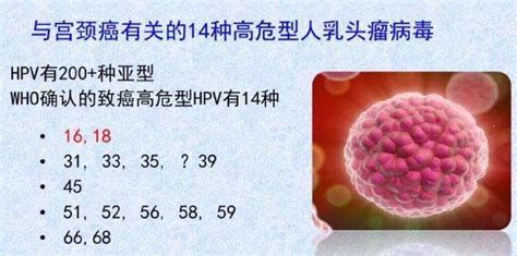 安全套能阻隔hpv病毒嗎(男性hpv感染有什么表現(xiàn))縮略圖