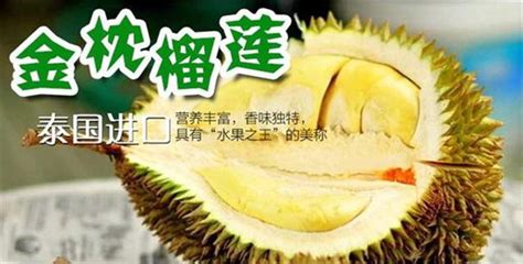廣西榴蓮多少錢一斤現在市場價,榴蓮一手貨源去哪里進貨縮略圖