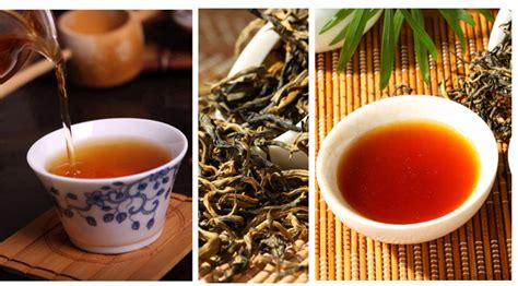 滇紅屬于什么茶(滇紅屬于什么茶類)縮略圖