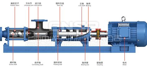 單螺桿泵操作流程視頻(單螺桿泵的工作原理視頻)縮略圖