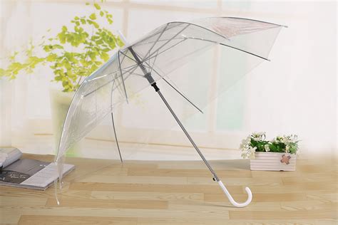 小雨傘,小雨傘閩南語縮略圖