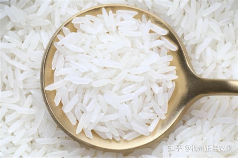 絲苗米好吃嗎(紅蝦谷小絲苗米好吃嗎)縮略圖