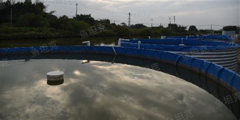 鍍鋅板養殖池養魚視頻,鍍鋅板養魚池養什么魚合適縮略圖