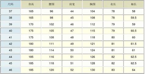 文化衫尺碼對照表(文化衫尺碼對照表國家標準)縮略圖