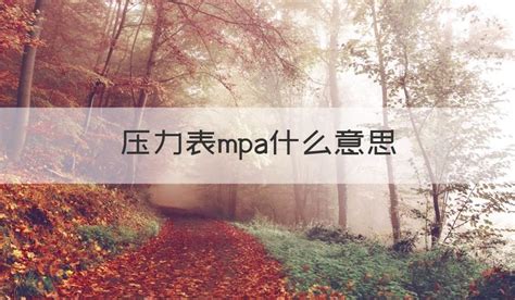 壓力表mpa是什么意思呀(壓力表mpa和bar是什么意思)縮略圖
