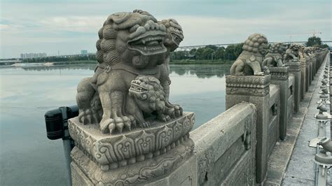 石獅子的寓意和講究(石獅子的寓意和講究是什么)縮略圖