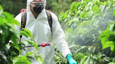 果樹什么時候噴殺蟲藥最好,果樹什么時候噴殺蟲藥最好用縮略圖