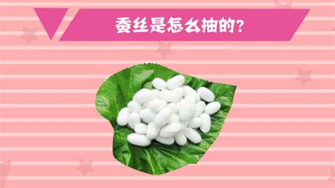 蠶絲被能曬太陽嗎(蠶絲被能曬太陽嗎怎么曬)縮略圖