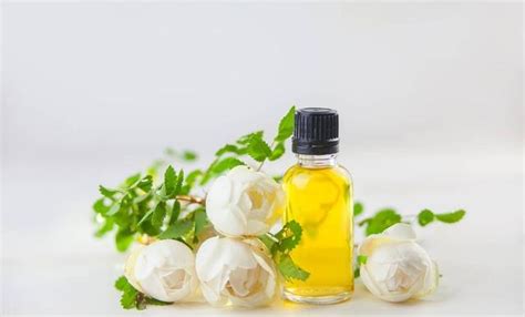 小燈泡精華液的正確使用方法(sk2小燈泡精華液的正確使用方法)縮略圖