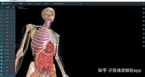 人體模型電影免費看(女人的顏色在線觀看全集)縮略圖