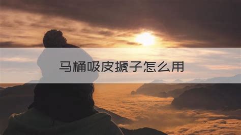 皮搋子怎么吸不住馬桶(皮搋子怎么通馬桶)縮略圖