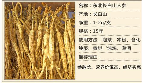 野山參價格一覽表,野山參價格一覽表20年縮略圖