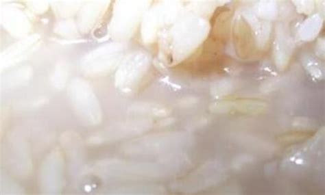 糯米酒糟的功效與作用及營養價值(糯米酒糟的功效與作用及營養價值和保質期限)縮略圖