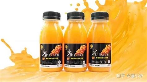 沙棘汁在哪里能買到正宗,沙棘汁是哪里特產縮略圖