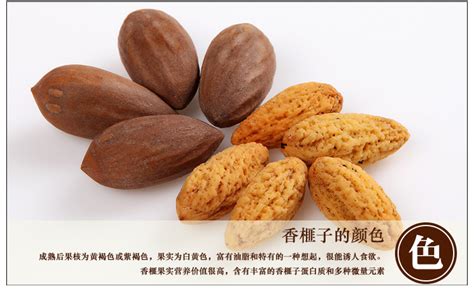 香榧子特級500g(香榧子特級500g秒殺)縮略圖