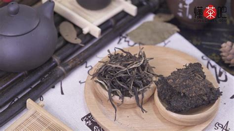 薄荷糖普洱茶是哪個(gè)寨子(薄荷糖普洱茶是哪個(gè)寨子,有什么特點(diǎn))縮略圖