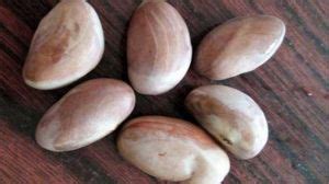 木菠蘿核可以吃嗎,吃完菠蘿蜜千萬別碰5種食物縮略圖