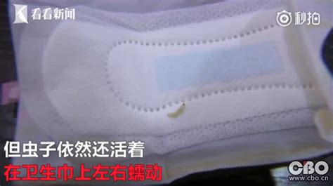 高潔絲蟲卵事件(高潔絲蟲卵事件后續(xù))縮略圖