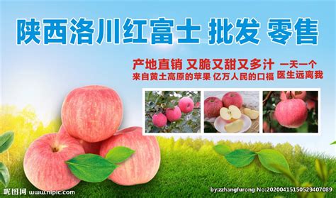 紅富士首富(紅富士首富插曲)縮略圖