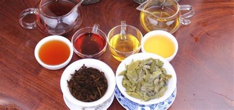 普洱茶生茶和熟茶有什么區別(普洱茶生茶和熟茶有什么區別嗎)縮略圖