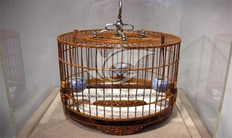 鳥籠多少錢,鳥籠多少錢一個(gè)縮略圖