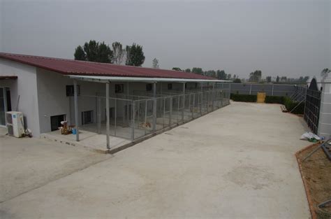狗舍如何搭建(狗舍如何搭建更好)縮略圖