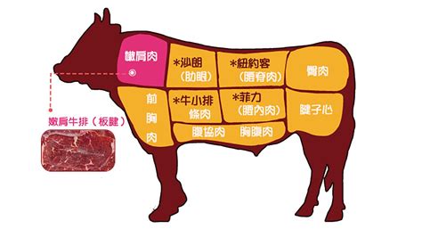 西冷牛排和眼肉牛排的區別(西冷牛排和眼肉牛排的區別在哪)縮略圖
