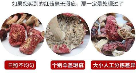 紅菇多少錢一斤(紅菇多少錢一斤干貨)縮略圖