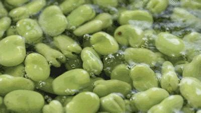 豆制品減肥還是增肥(刮油最狠的四種減肥蔬菜)縮略圖