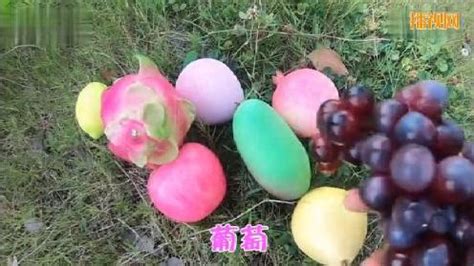 小葡萄視頻,小葡萄視頻大全播放縮略圖