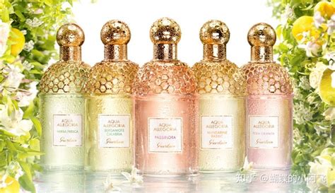 嬌蘭(嬌蘭復(fù)原蜜)縮略圖