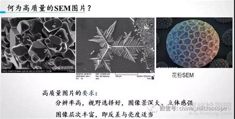 分析純是什么,分析純是干什么用的縮略圖