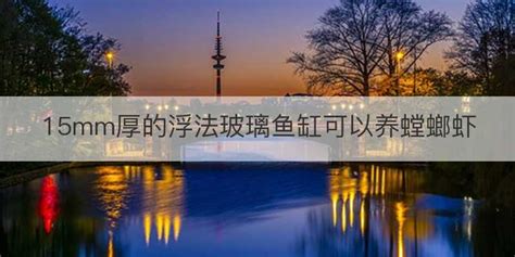 螳螂蝦擊碎玻璃魚缸,螳螂蝦敲碎魚缸縮略圖
