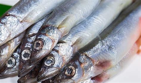 多春魚圖片,多春魚圖片大全大圖縮略圖