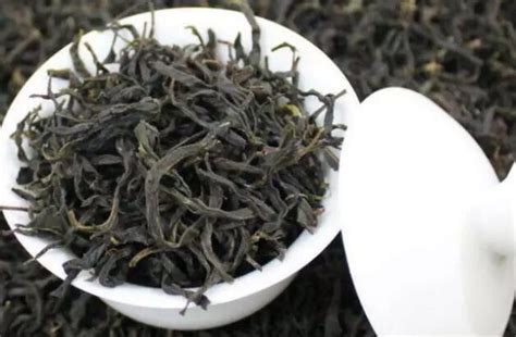 鳳凰單樅的樅怎么讀,鳳凰單樅怎么讀音縮略圖