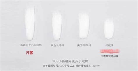 長絨棉和匹馬棉的區別(長絨棉和匹馬棉哪個質量好些)縮略圖