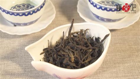 單叢茶屬于什么茶(單叢茶屬于什么茶類)縮略圖