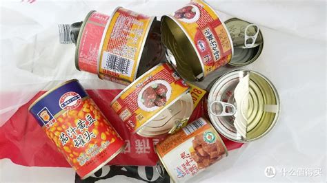 罐頭哥在荷蘭(罐頭哥在荷蘭身價)縮略圖