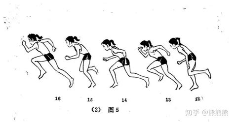 美背往上跑怎么解決(美背總是往上跑怎么解決)縮略圖