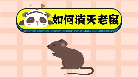 老鼠藥歌曲(老鼠藥歌曲原唱)縮略圖