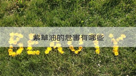 紫草油哪些地方不能擦,紫草油治哪些婦科病縮略圖