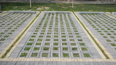 植草磚價(jià)格一平方多少錢(草磚價(jià)格多少錢一平方)縮略圖