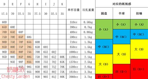 內衣怎么選尺碼表,內衣怎么選尺碼表圖解縮略圖