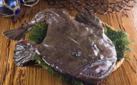 安康魚是什么魚(安康魚是什么魚的圖片)縮略圖