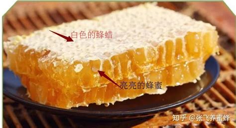 蜂巢蜜的正確食用方法,蜂巢蜜的正確食用方法和功效縮略圖