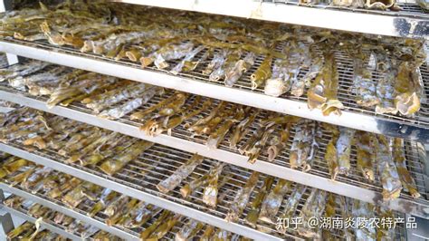 筍干市場價多少錢一斤,竹筍多少錢一斤2023縮略圖