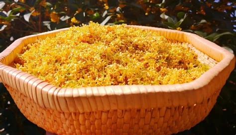 桂花茶制作方法,桂花茶制作方法視頻縮略圖